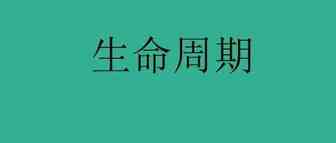 亚马逊：为什么这种爆款，生命周期只有一天时间