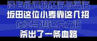没有永远的红海与蓝海，坂田这位小麦靠这几招在亚马逊这片大海杀出了一条血路