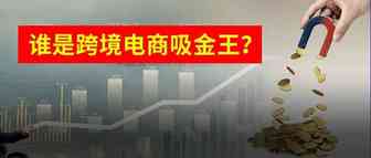 跨境大卖谁是吸金王？有人亏损严重，有人一季度净利达2.04亿……