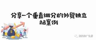 分享一个垂直细分的外贸独立站案例