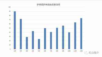 中国跨境电商卖家在美国的知识产权战争