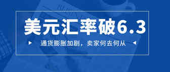 汇率破6.3！美元持续贬值，卖家该涨价还是转行？