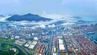 重磅预警！多地外轮船员确诊，盐田港面临严重拥堵！船公司采取紧急措施