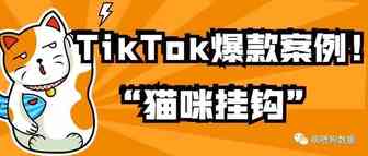 TikTok二次元好物“猫咪挂钩”，会成为亚马逊下个爆款么？ | 嘀嗒狗