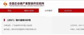 破产不可惜。可惜的是....