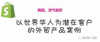 以世界华人为潜在客户的外贸产品案例