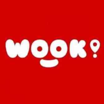 跨境电商WOOK完成C轮数亿元融资，亦联资本领投