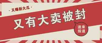 今天又有一大卖账号挂了！最近大卖账号频繁被挂引发的思考