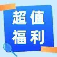 港口又双叒叕暴动！商家直呼太难？