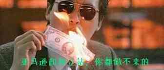 不做亚马逊了，去做独立站吗？