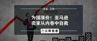 为国涨价！亚马逊卖家从内卷中自救