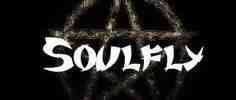 隐藏案件竟是SOULFLY飞灵乐队，被BRICKELL律所代理连发了三案！