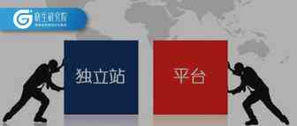 晓生洞察|欧洲税改带动卖家多平台布局，小型独立站迎来利好！【欧洲税改新政系列】