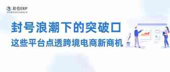 封号浪潮下寻找突破口 这些平台点透跨境电商新商机