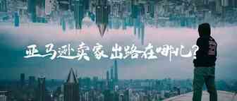 亚马逊动荡之下卖家的出路在哪儿？