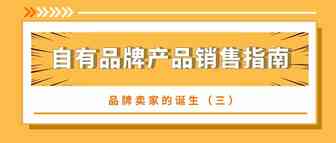 品牌卖家的诞生（三）——自有品牌产品销售指南（下）