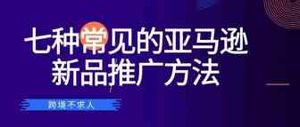 七种常见的亚马逊新品推广方法