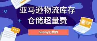 一不留神被亚马逊多收好几万的费用，亚马逊库存超量费需要关注？