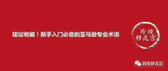 建议收藏！新手入门必备的亚马逊专业术语