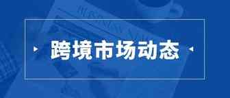 火了!去年净营收120亿美元,这个跨境蓝海平台或将成致富新风口