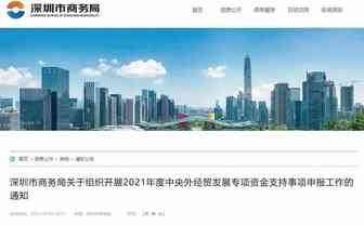 深圳出手扶持独立站卖家，跨境电商独立站到底是什么？