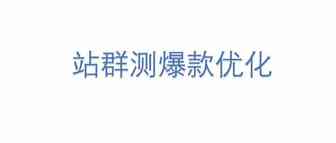 SHOPYY站群测爆款优化——支付率成功率提高10%-20%