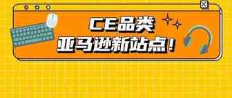 这个年销售额4000亿美元的品类，在亚马逊新站点有多香？