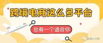 跨境电商这么多的平台，总有一个适合你吧！