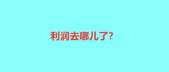 利润去哪儿了？跨境大卖营收24亿，净利润反下降30%