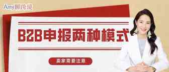 注意！欧盟B2B申报，这两种申报模式很不一样！​