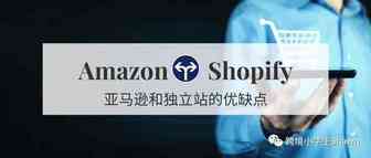 亚马逊和独立站哪个平台更好——优缺点对比