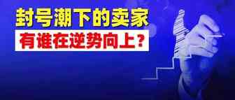 有的卖家亏了7.4亿！价格大战、封号潮下，这位卖家毛利却逆势上涨销售额也已破亿！厉害!...