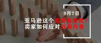 亚马逊这个类目有危机？卖家如何应对红海内卷