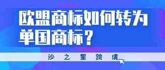 知识产权系列：欧盟商标如何转为单国商标