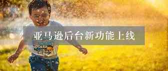 旺季来袭！亚马逊推出新功能，卖家直言太没意思！