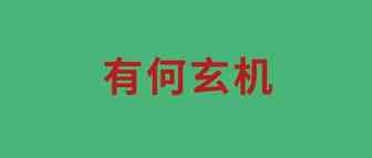 利润翻5倍，品牌独立站怎么就香了？