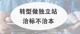 转型做独立站治标不治本