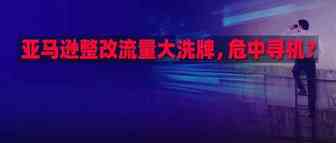 亚马逊大刀阔斧，流量重新洗牌!逼上独立站？下一蓝海何在？