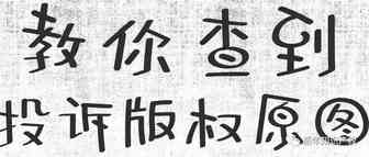 如何查到投诉你版权侵权的原图