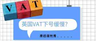 英国政府为什么要收紧VAT税号批准措施？英国VAT下号慢是因为疫情影响吗？