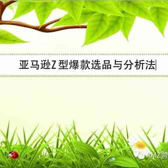 亚马逊Z型爆款选品与分析法