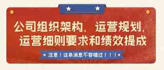 亚马逊跨境电商公司不同规模的公司组织架构，运营规划，运营细则要求和绩效提成