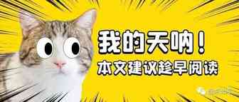 未来的外贸该怎么做？总理这么说