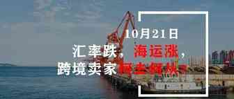 汇率跌，海运涨，跨境卖家何去何从？