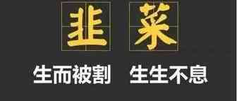 拒绝做韭菜，报名培训前先去谷歌翻译看看