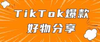 分享几款近期TikTok上小众但热度很高的爆款好物丨嘀嗒狗