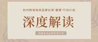 深度解读Ⅰ跨境电商品牌运营模式创新:渠道多元化、营销多样化、服务本地化、管理精细化