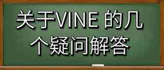 关于VINE 的几个疑问解答