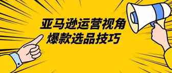 亚马逊运营视角爆款选品技巧