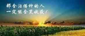 10分钟教你成为域名达人！